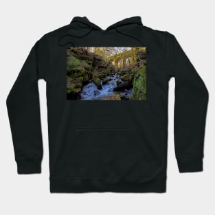 Fairies Chapel Healey Dell Hoodie